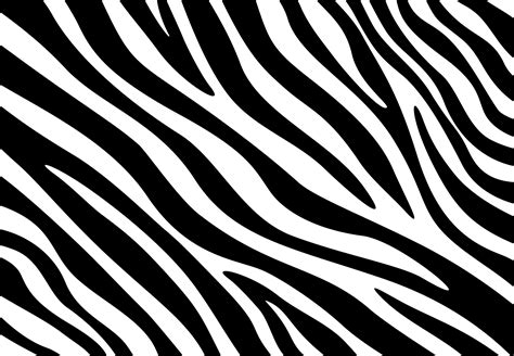 Download 595+ Zebra Print Pattern Images